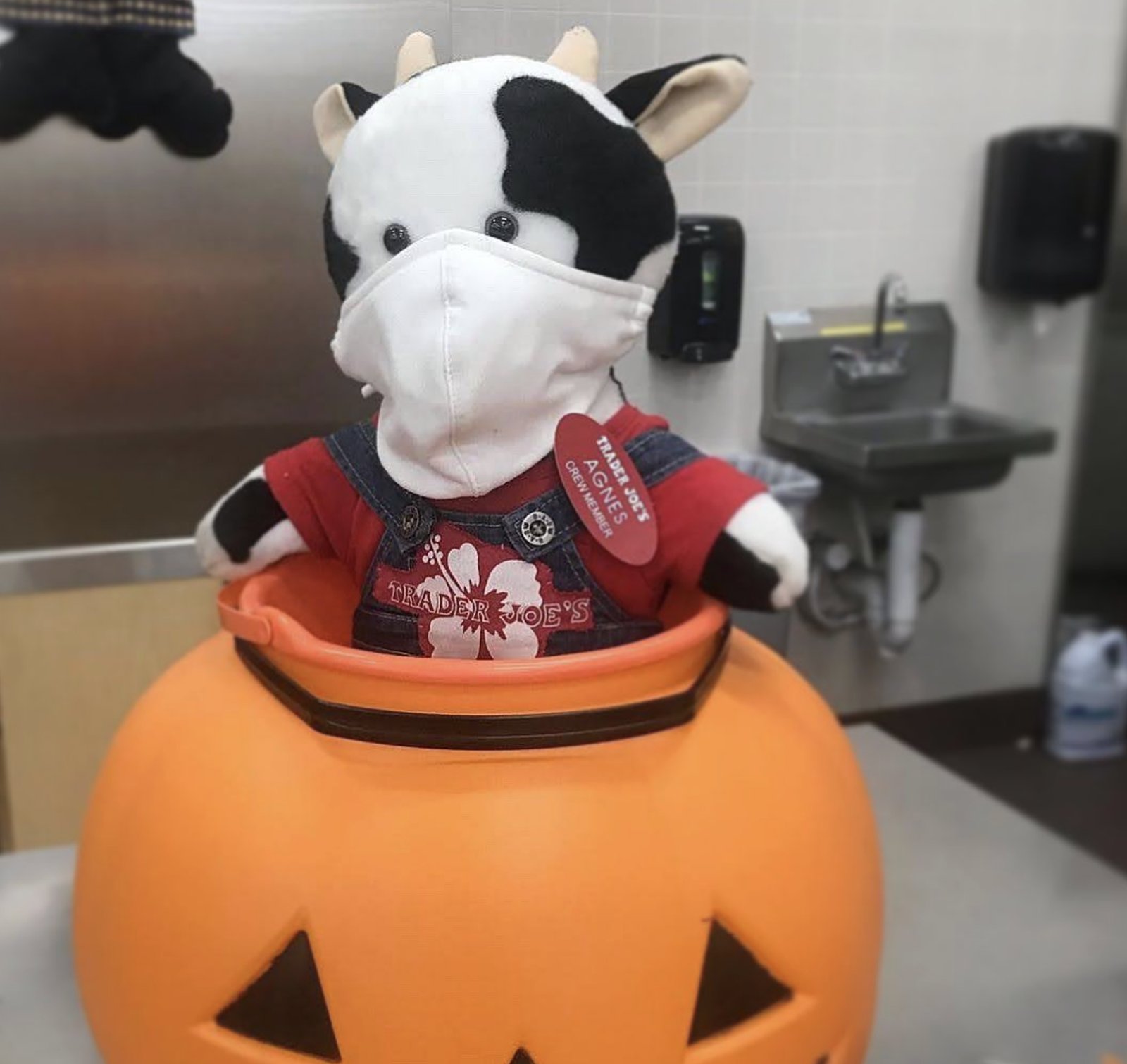 Agnes the Cow
