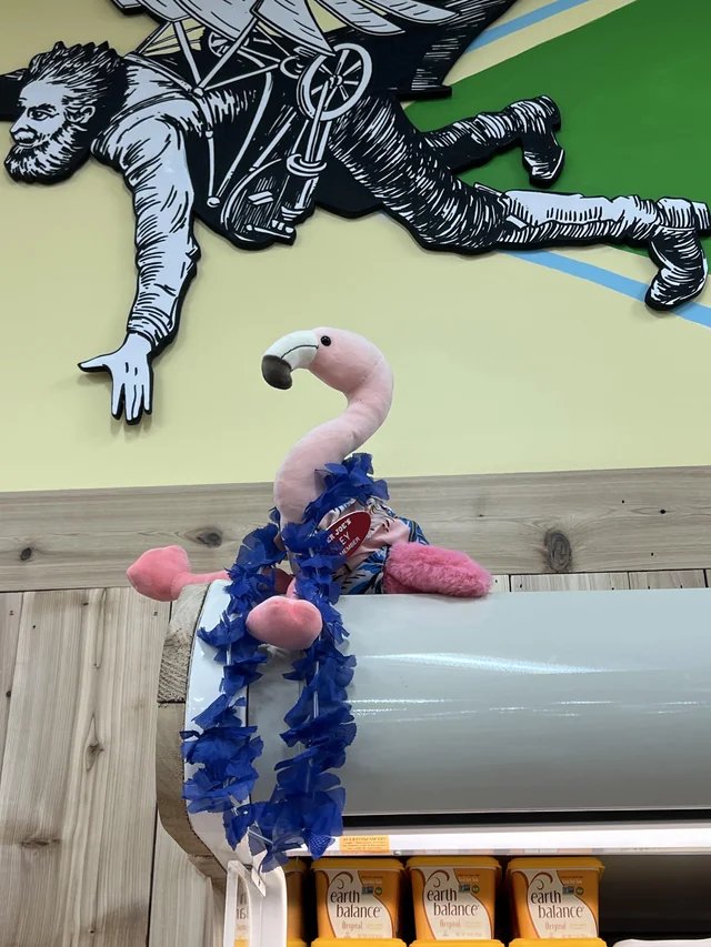 Finley the Flamingo at Trader Joe's Raleigh — Brier Creek, NC