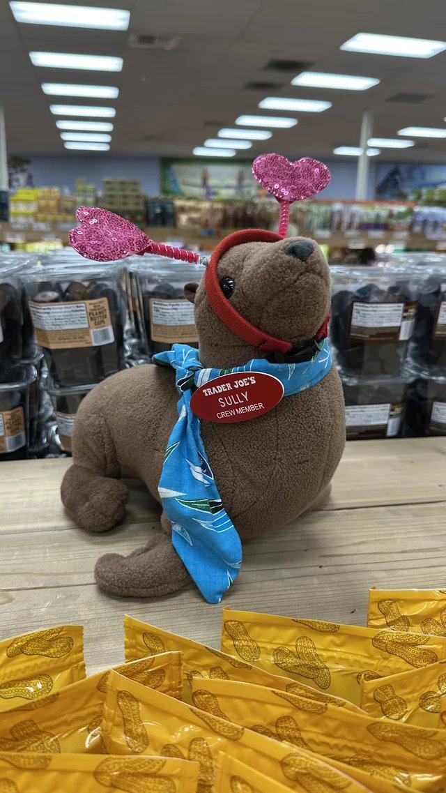 Sully the Seal