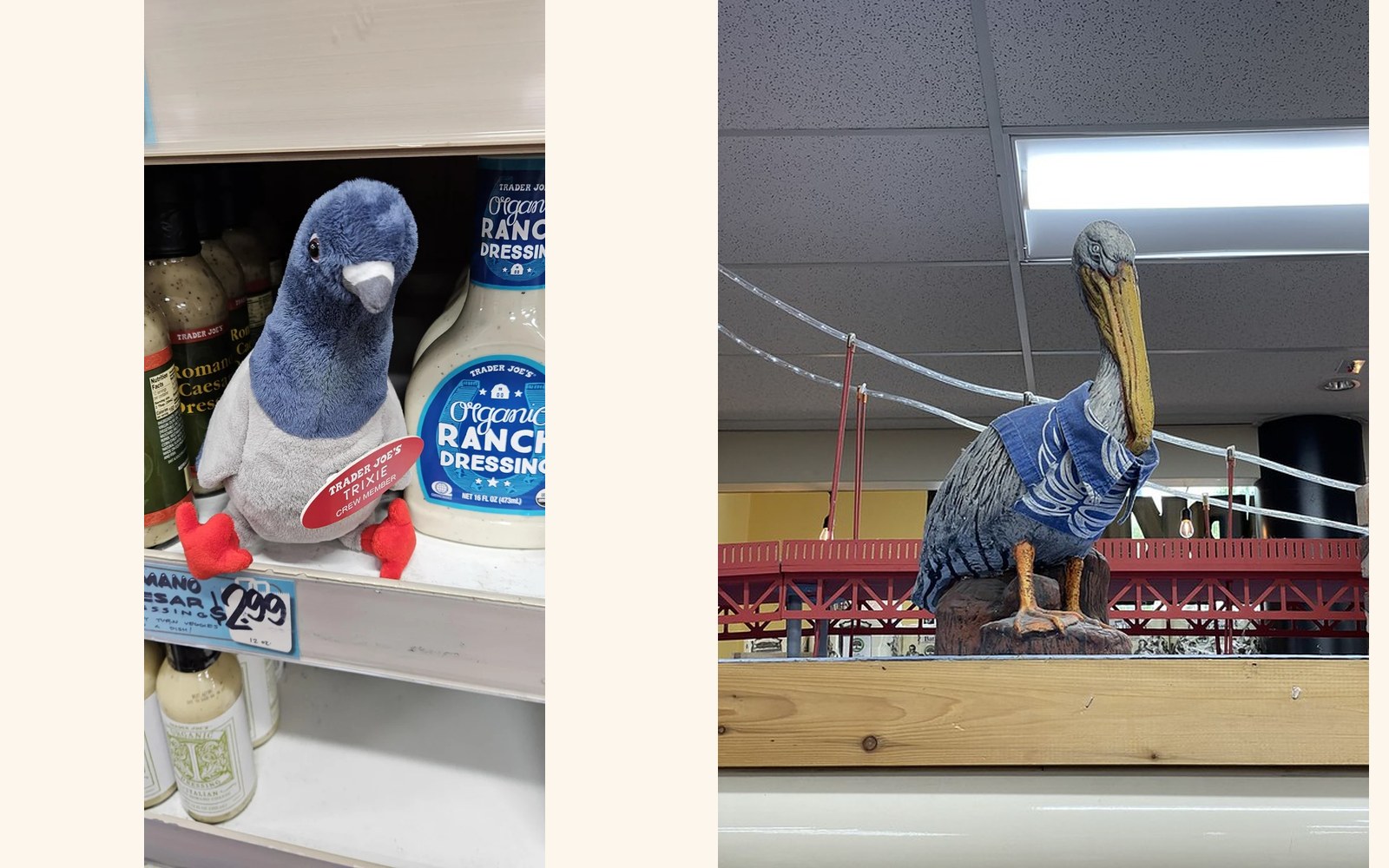 Trixie and Gull the Pigeon & Seabird at Trader Joe's San Francisco — North Beach, CA