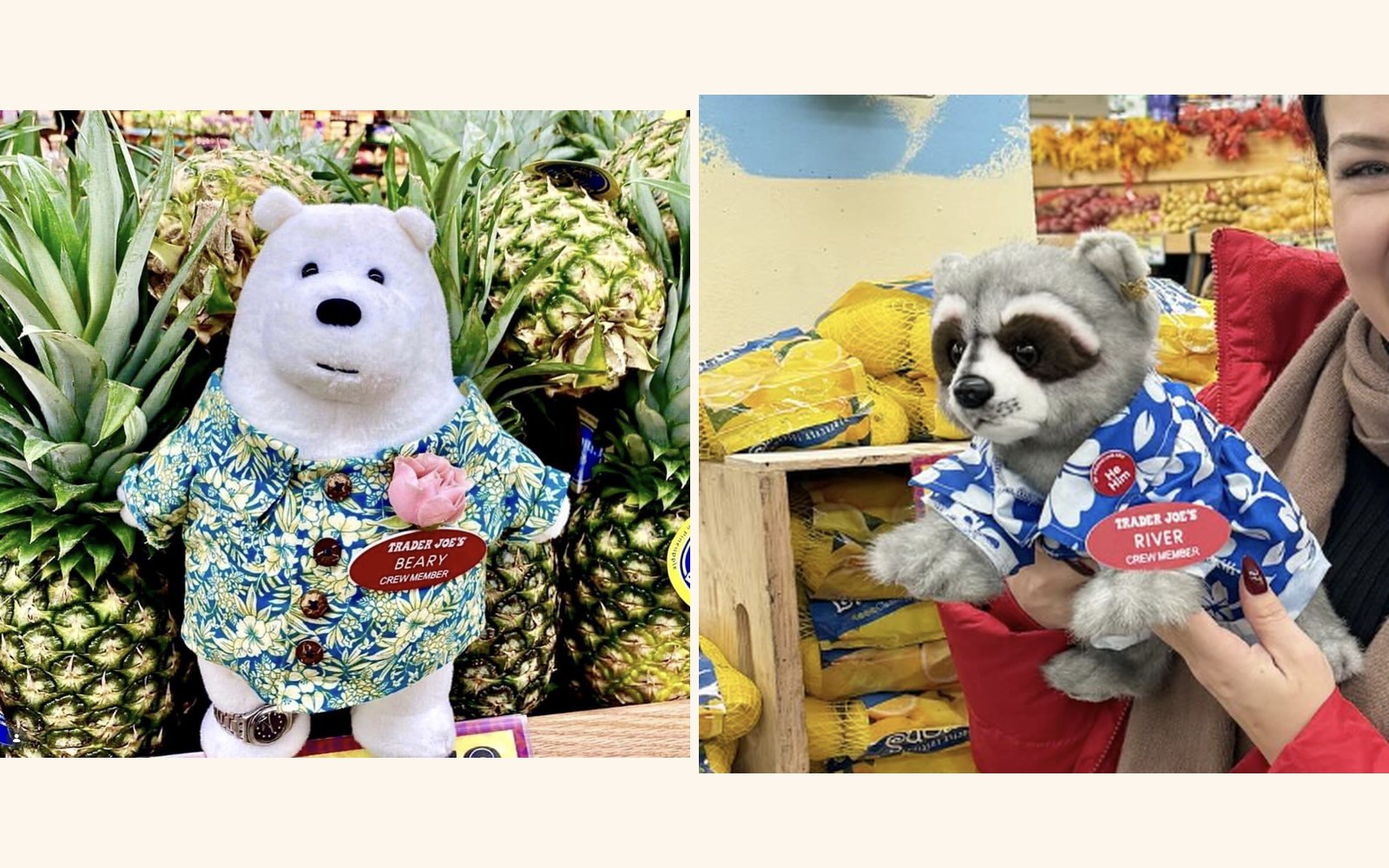 Beary and River the Polar Bear & Raccoon at Trader Joe's New York — East Village, NY