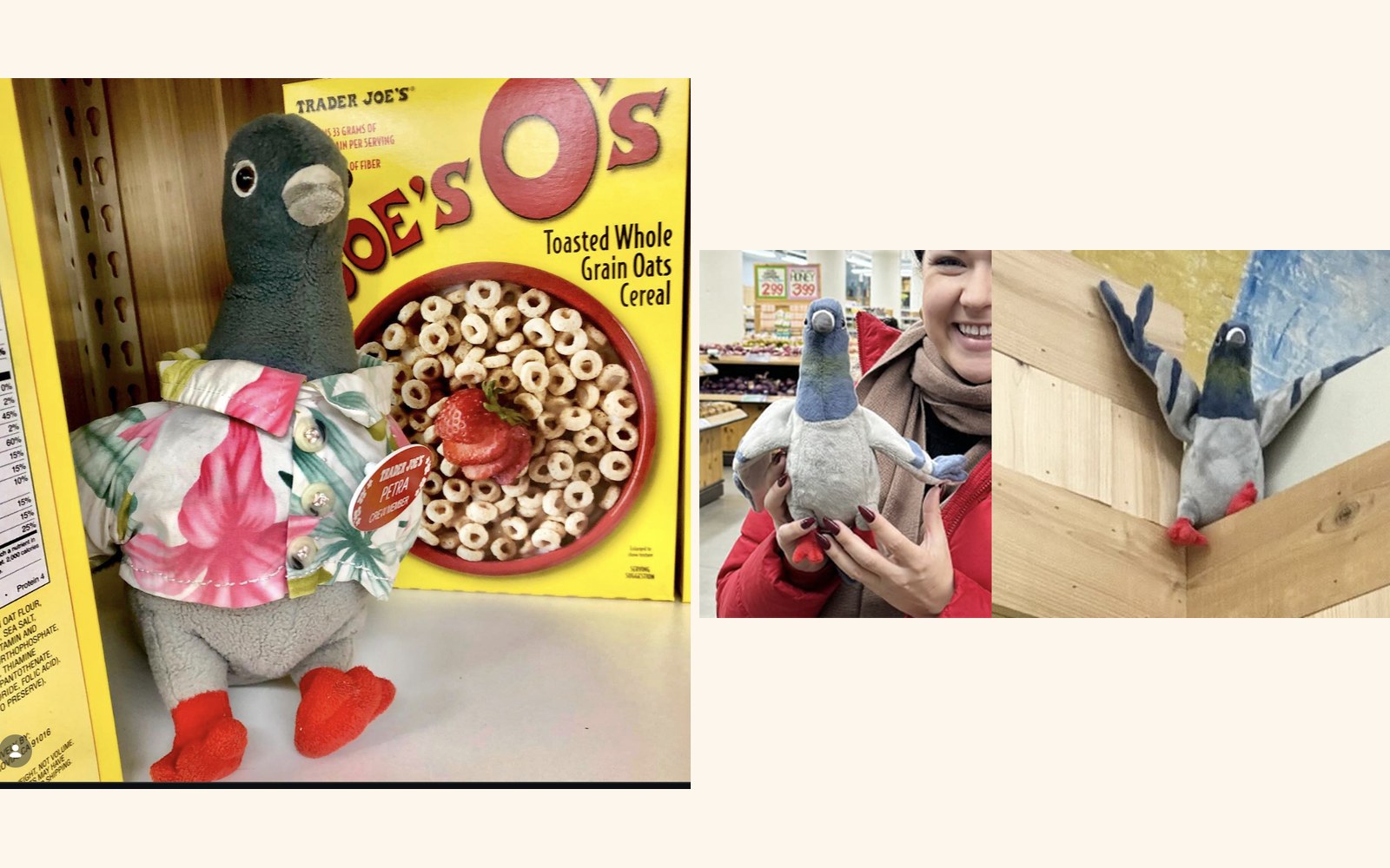 Petra and Pedro the Pigeons (x2) at Trader Joe's New York — SoHo, NY