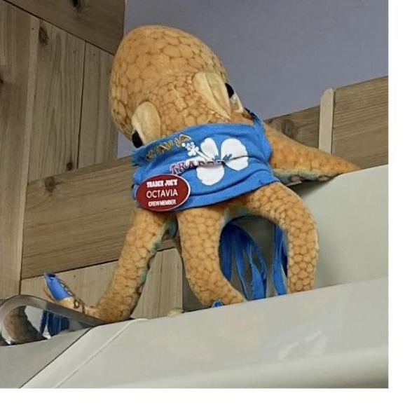 Octavia the Octopus at Trader Joe's New York — Lincoln Square, NY