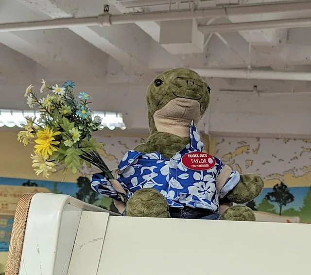 Taylor the Turtle at Trader Joe's Millburn