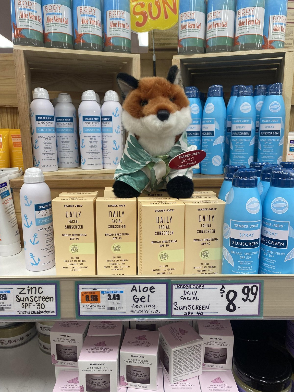 Boro the Fox at Trader Joe's Foxborough, MA