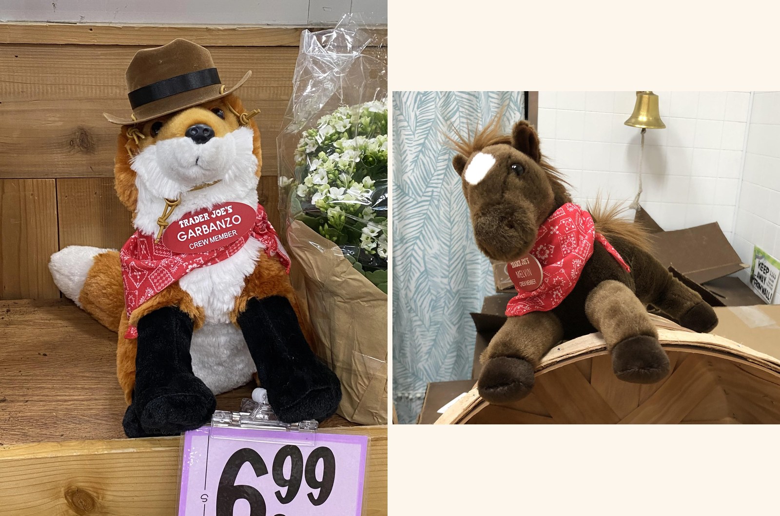 Garbanzo & Melvin the Red fox and Horse