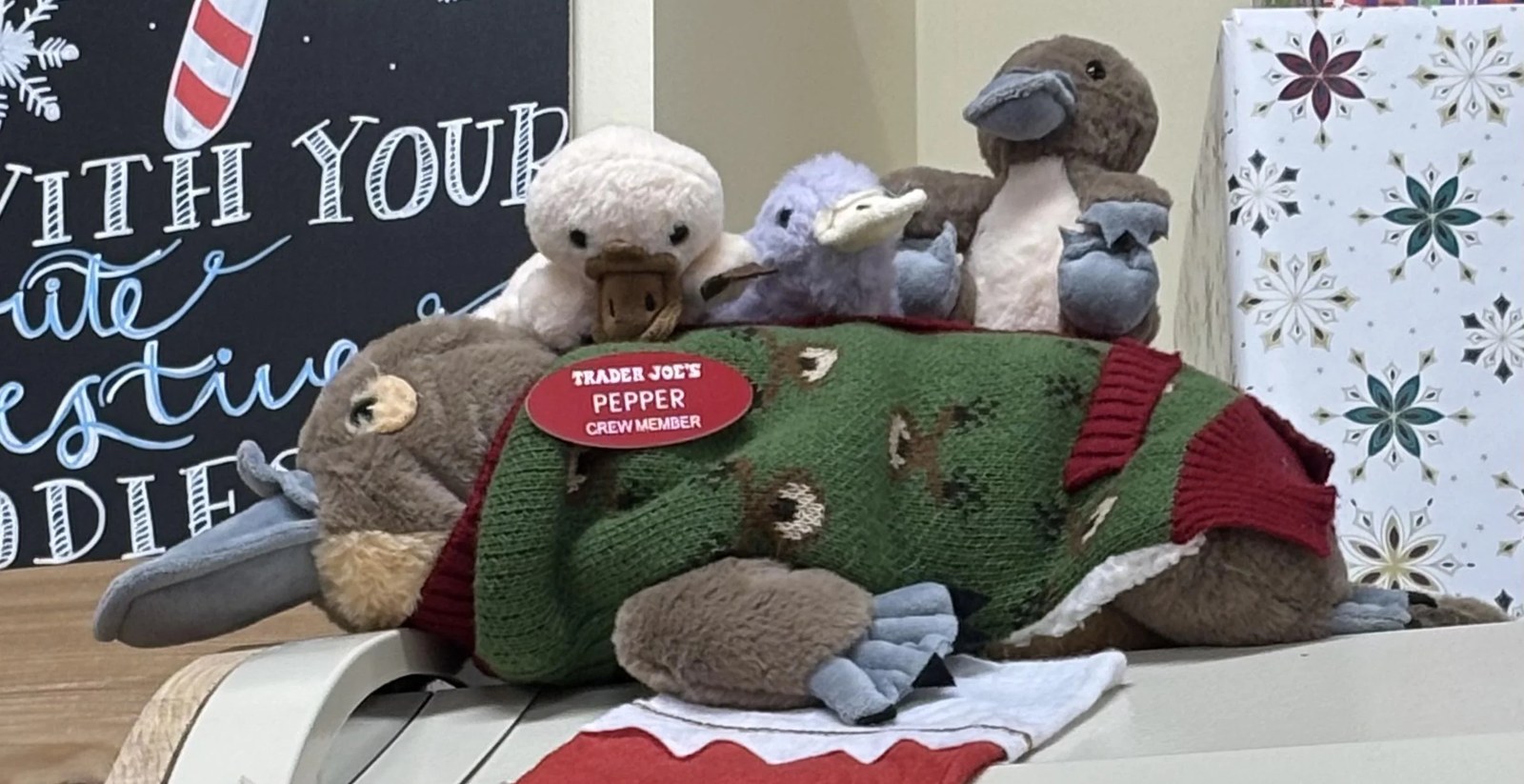 Pepper the Platypus at Trader Joe's East Vancouver