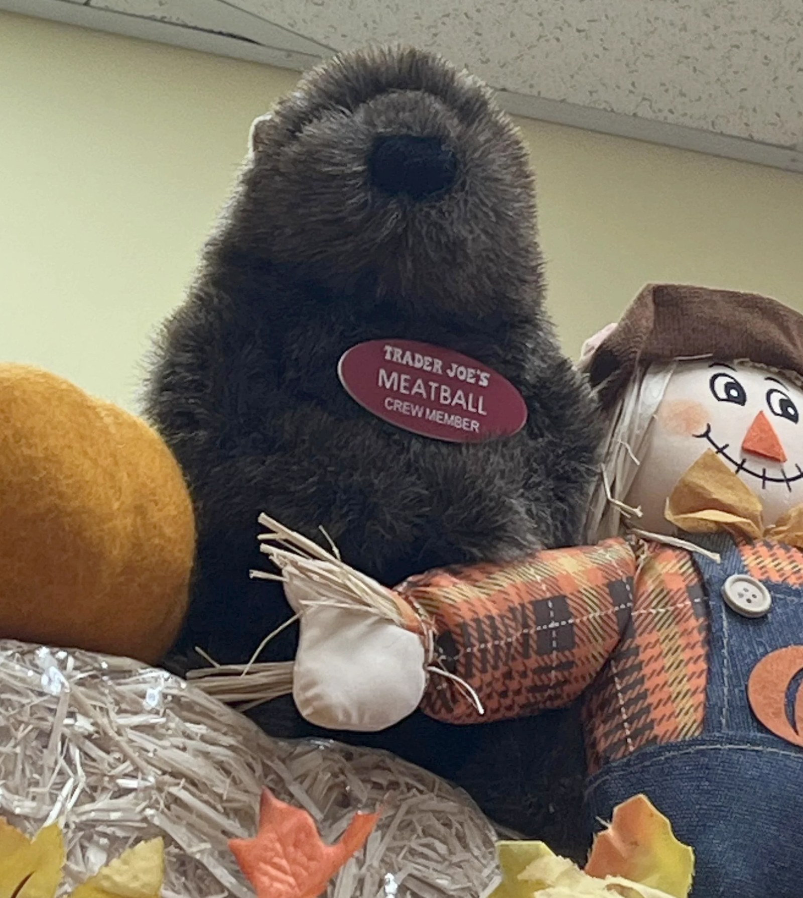 Meatball the Gopher at Trader Joe's Washington — Foggy Bottom, DC