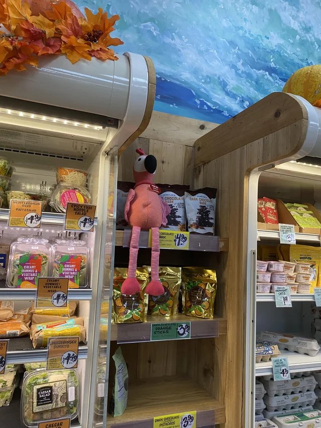 Mingo the Flamingo