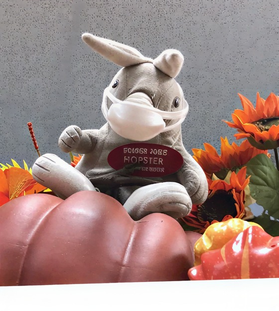 Hopster the Rabbit at Trader Joe's Ardmore, PA