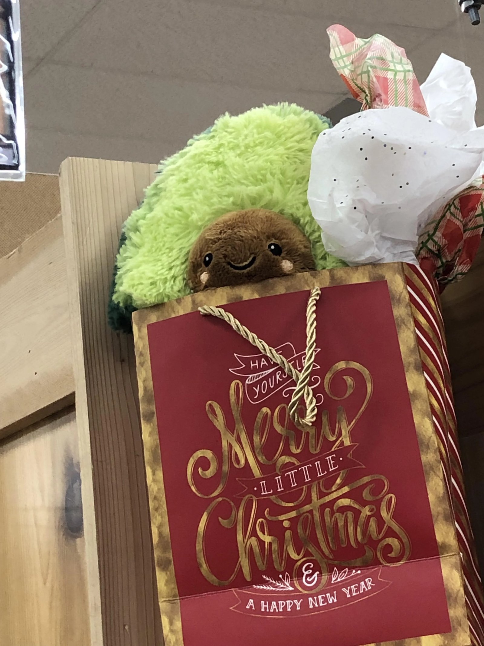 Arnold the Avocado at Trader Joe's Greensboro, NC