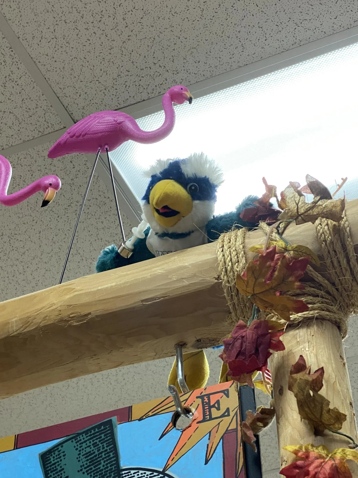 Sammy the Seahawk at Trader Joe's Wilmington, NC