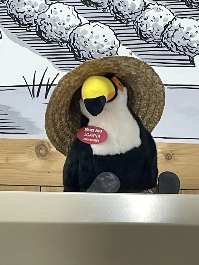 Joanna the Toucan at Trader Joe's Santa Clarita — Saugus, CA