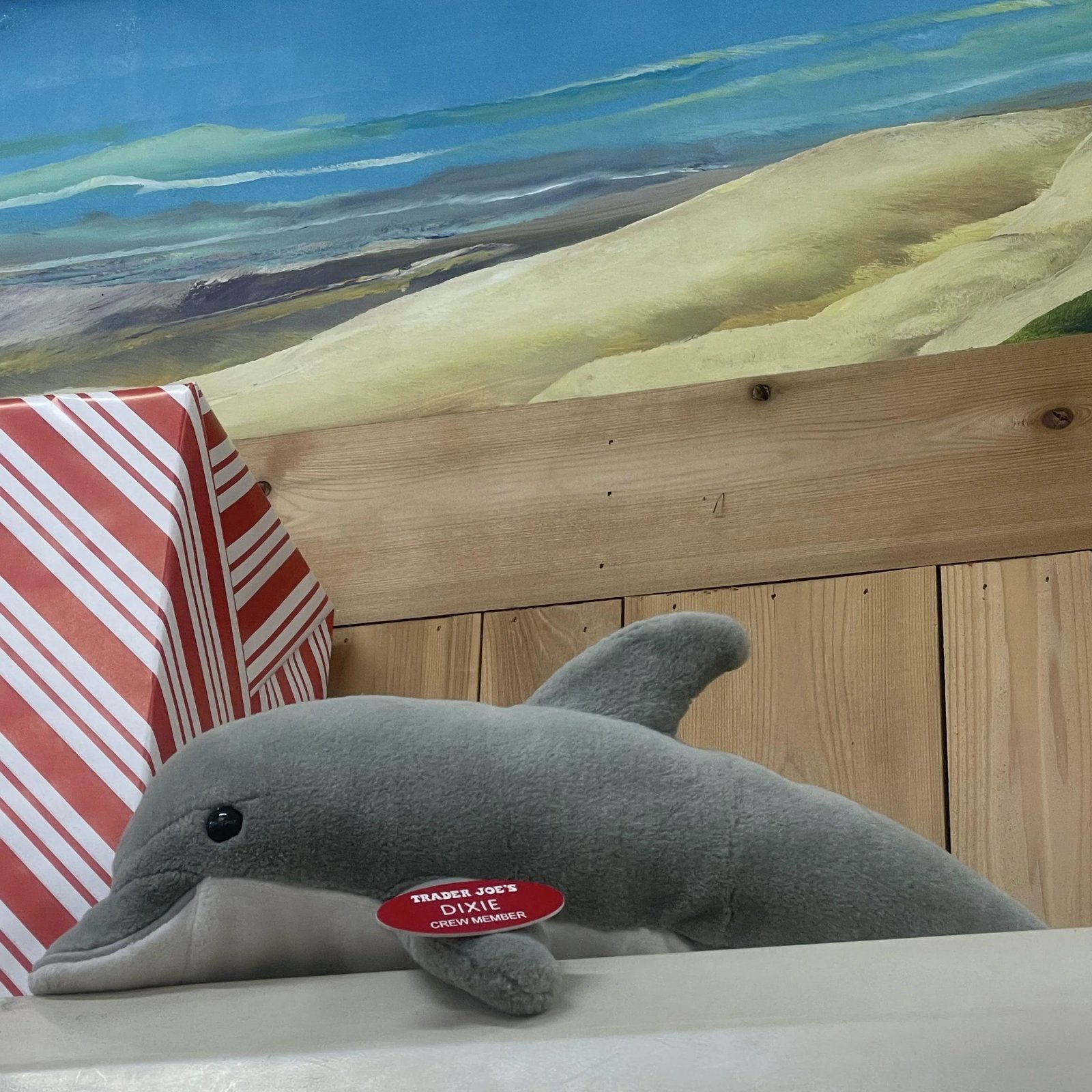 Dixie the Dolphin at Trader Joe's Huntington Beach — South HB, CA