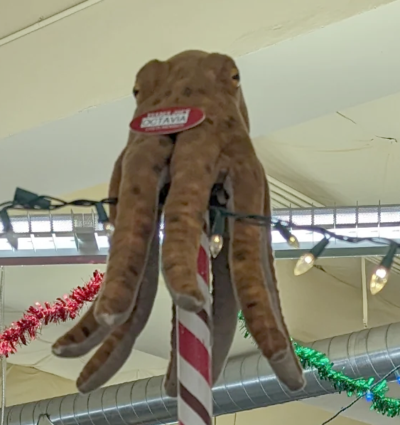 Octavia the Octopus at Trader Joe's Seattle — West Seattle, WA