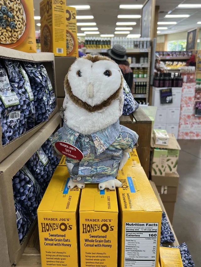 Sky the Owl at Trader Joe's Folsom, CA