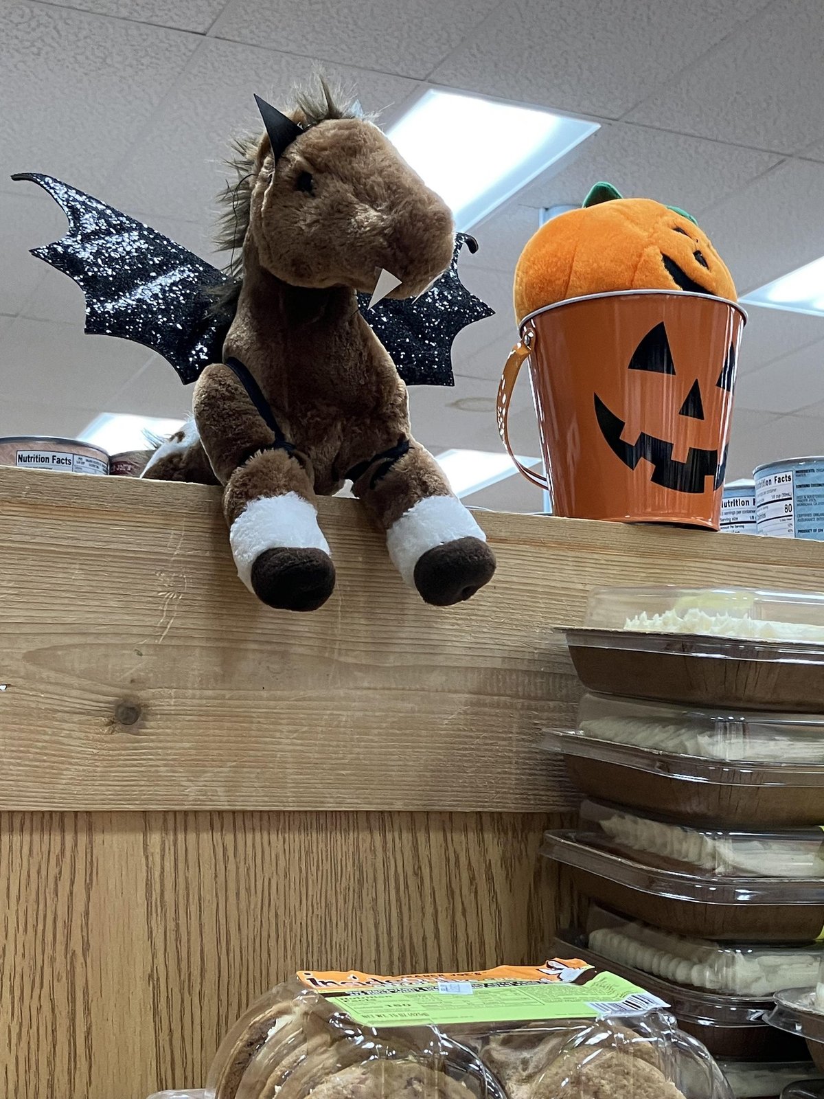 Fiona the Horse at Trader Joe's Louisville — St. Matthews, KY