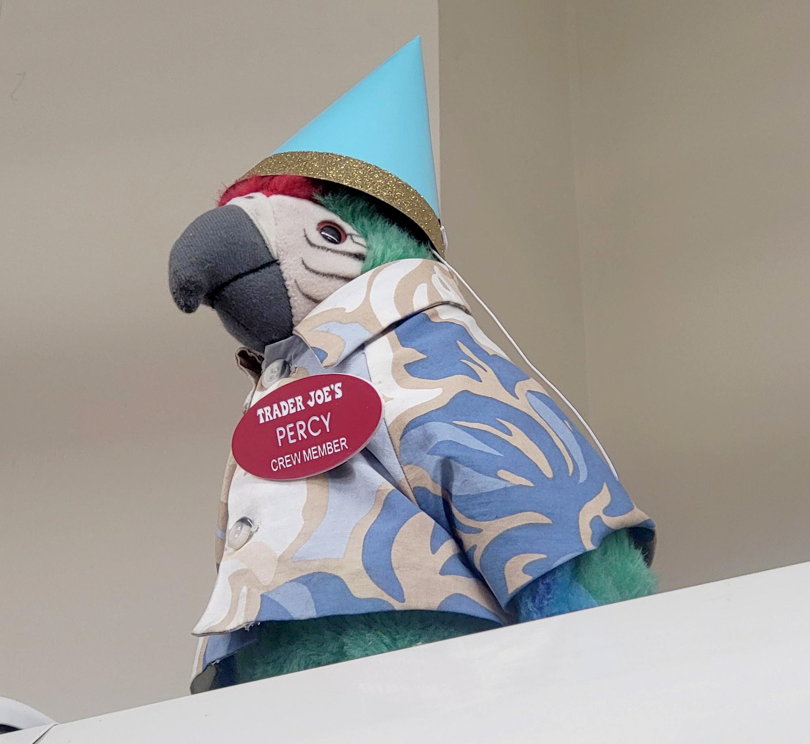 Percy the Parrot at Trader Joe's Brooklyn — Downtown Brooklyn, NY