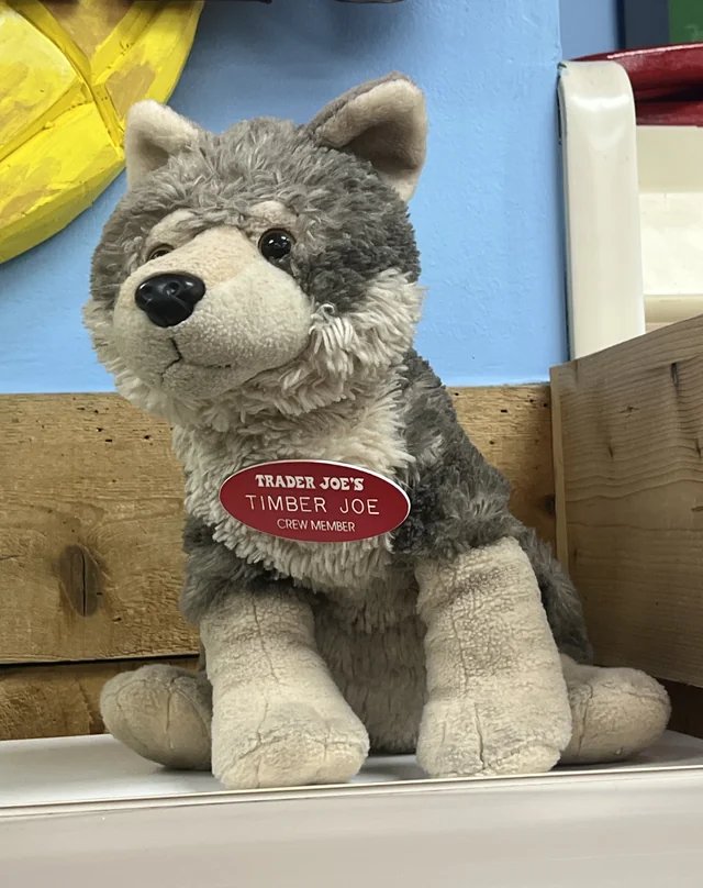 Timber Joe the Timberwolf