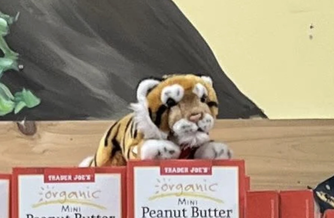 TJ the Tiger