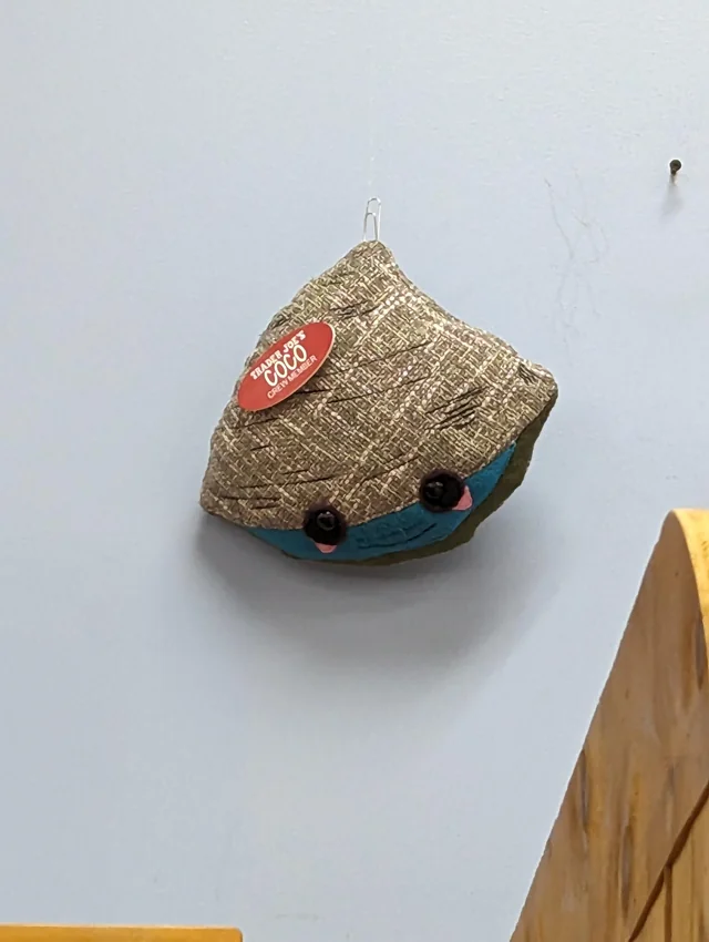 Coco the Quahog at Trader Joe's Warwick, RI