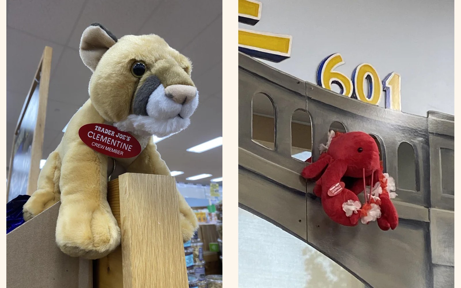 Clementine and Leopold the Cougar & Lobster at Trader Joe's Westfield, NJ