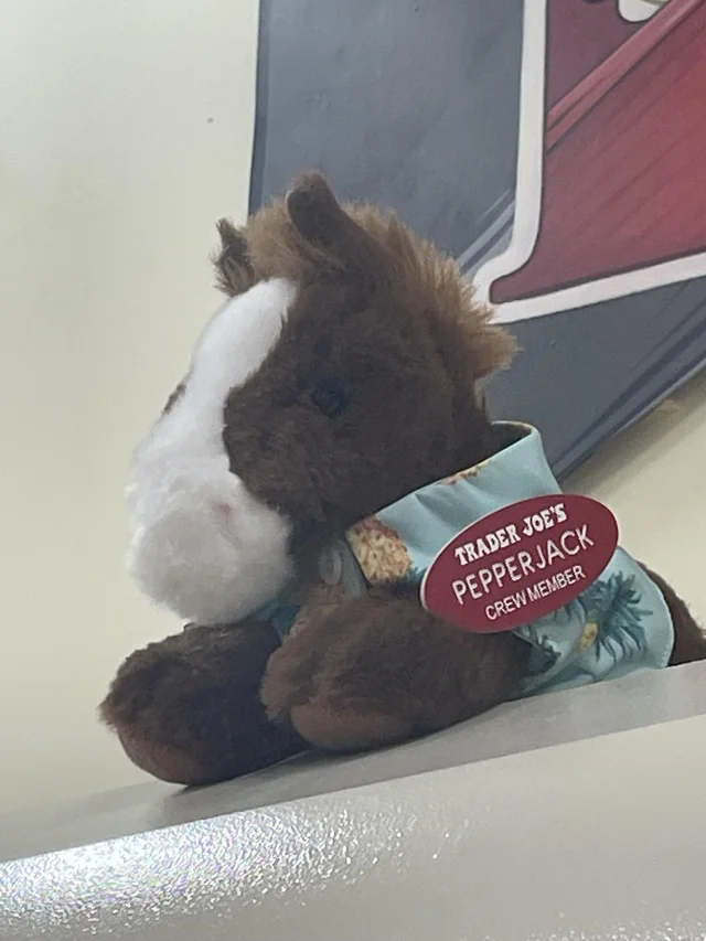 Pepperjack the Race horse at Trader Joe's Cypress, CA