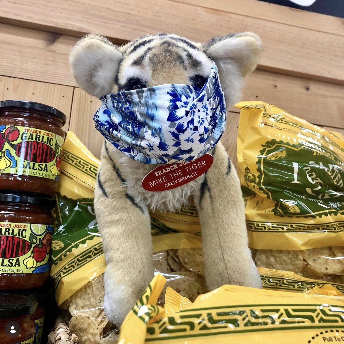 Mike the Tiger at Trader Joe's Baton Rouge, LA