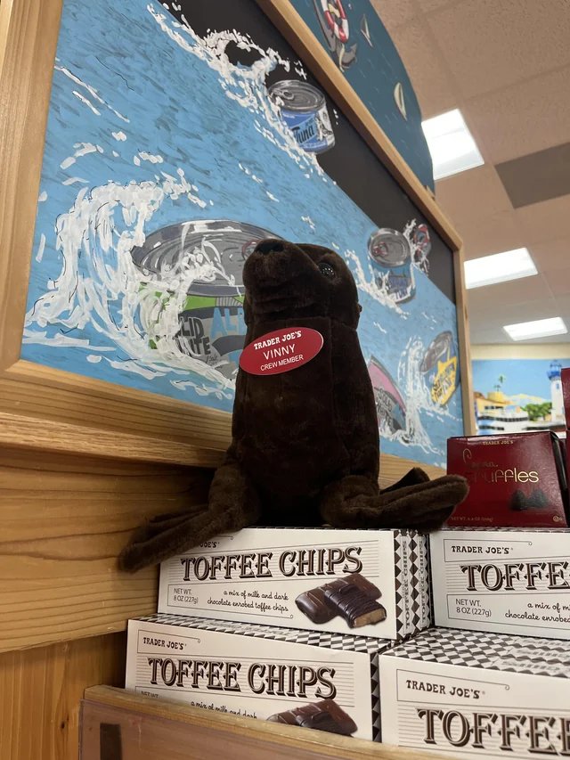 Vinny the Sea lion at Trader Joe's Marina Del Rey, CA
