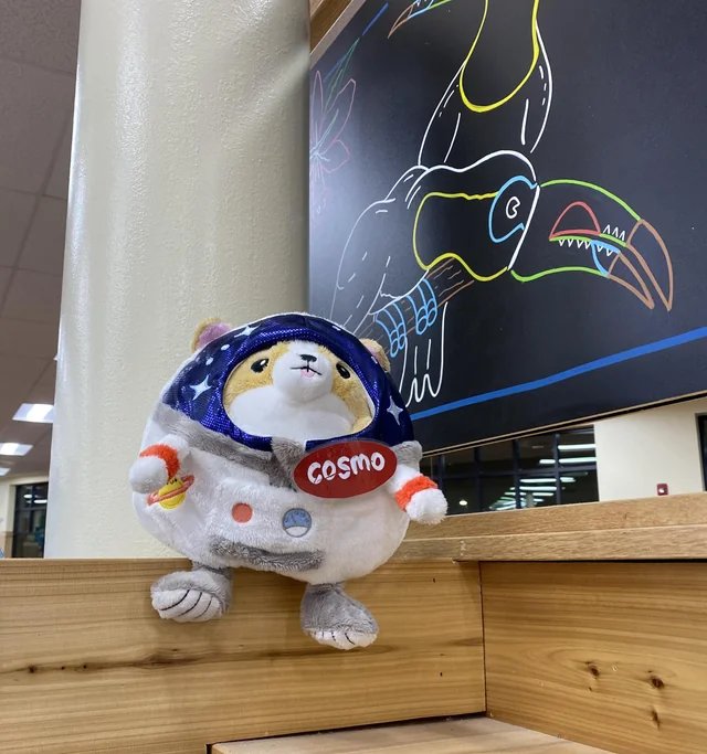 Cosmo the Space dog at Trader Joe's Halfmoon, NY