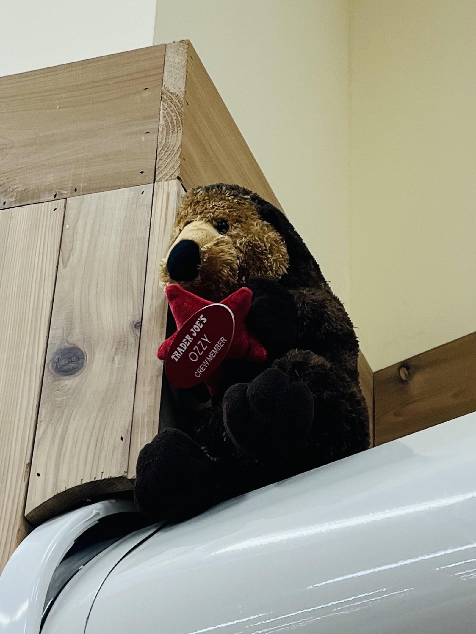 Ozzy the Otter at Trader Joe's La Mesa, CA