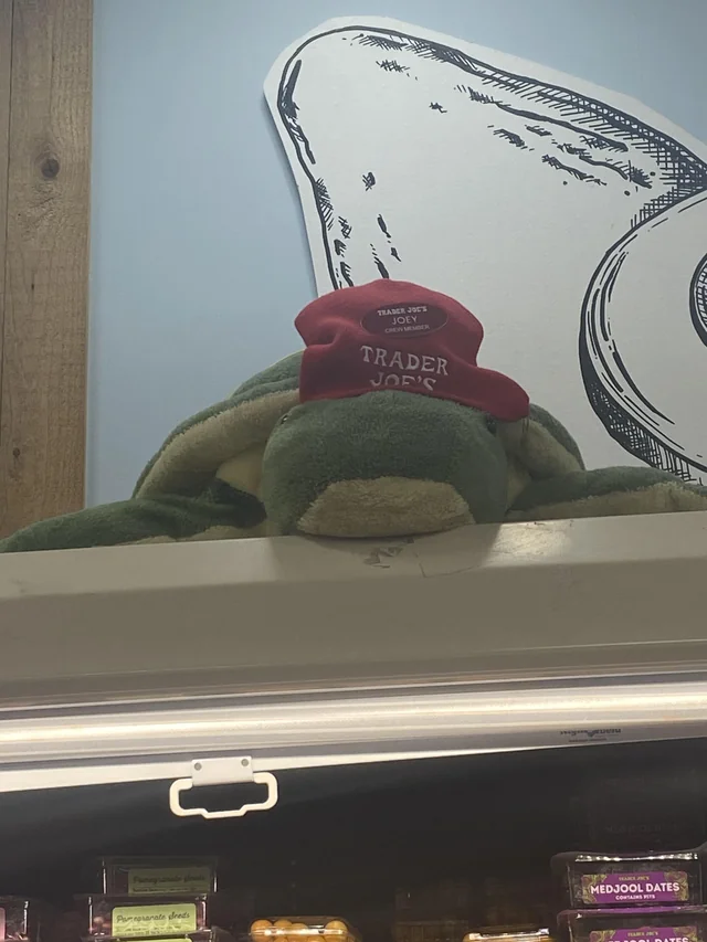 Joey the Turtle at Trader Joe's Sandy Springs — North Springs, GA