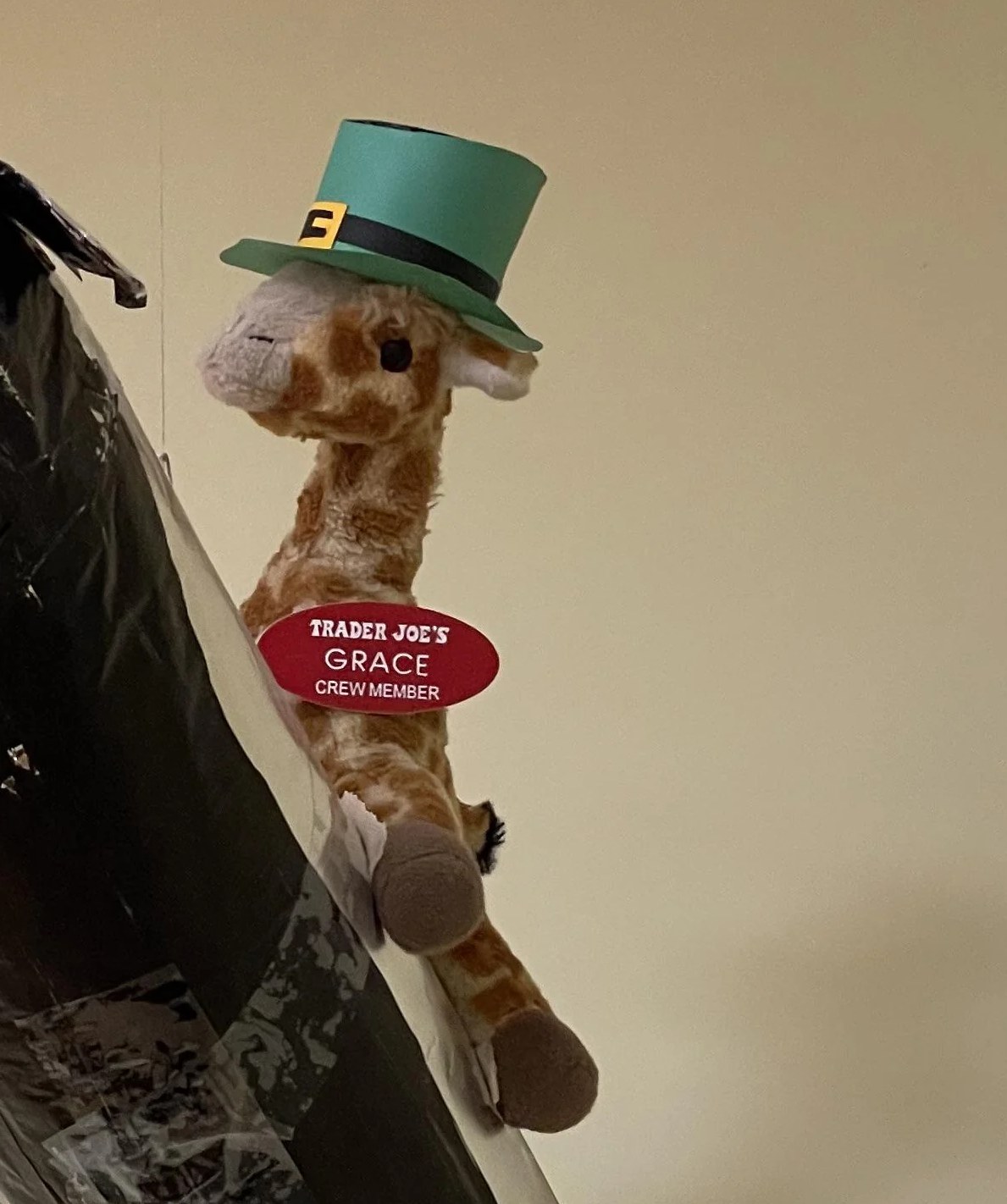 Grace the Giraffe at Trader Joe's Colorado Springs — University Village, CO