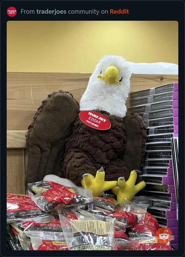 Edgar the Eagle