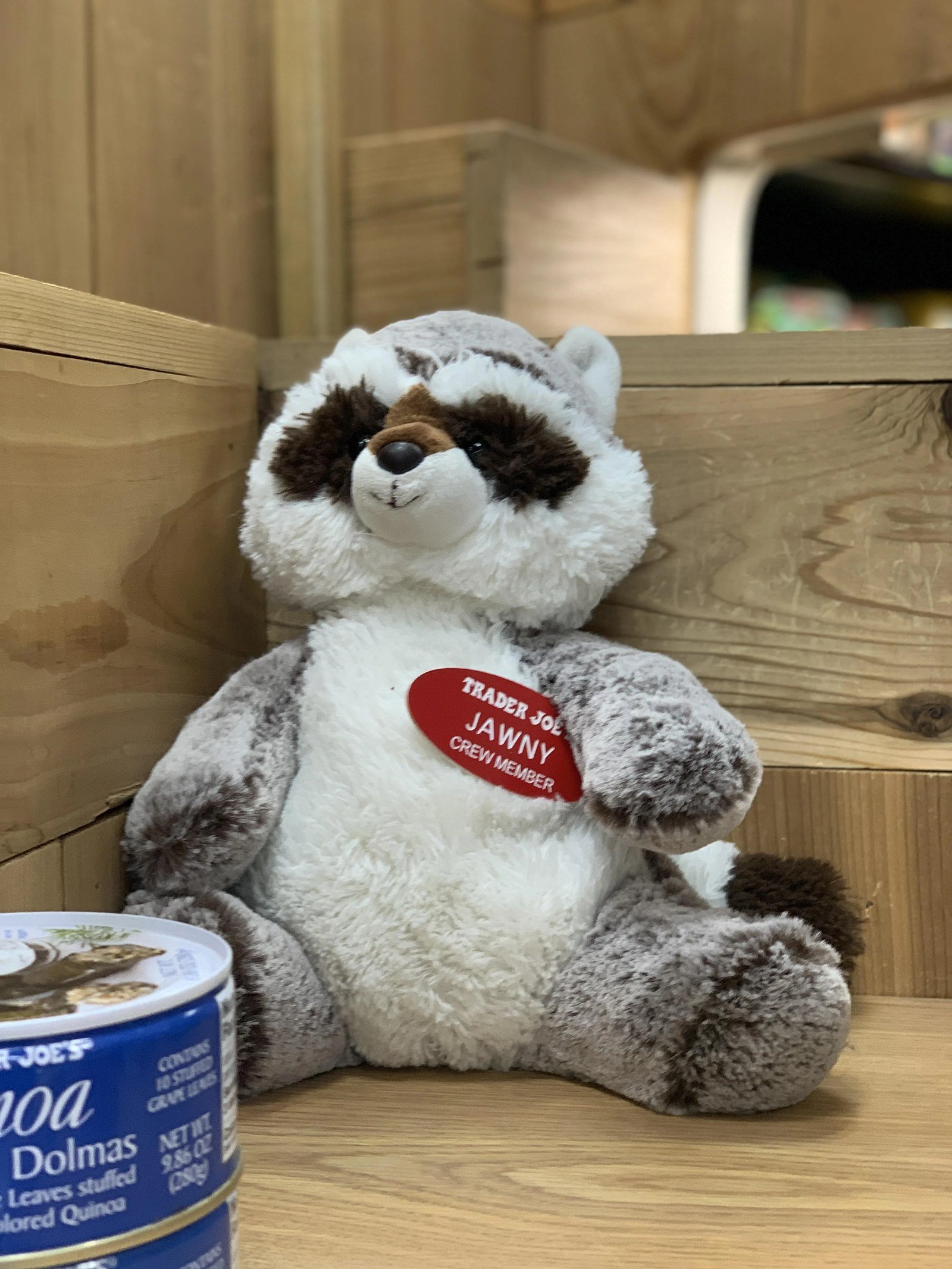 Jawny the Raccoon at Trader Joe's Philadelphia — Rittenhouse, PA