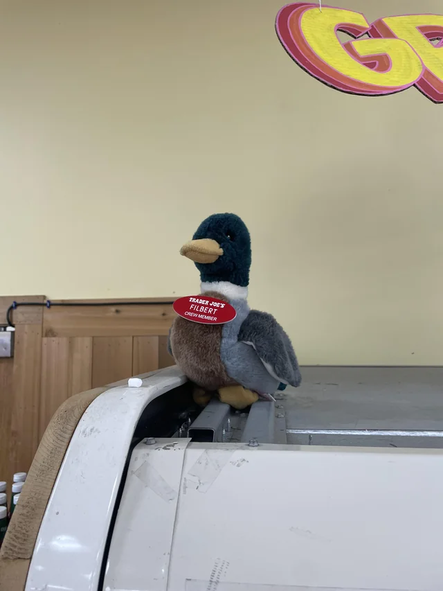 Filbert the Duck at Trader Joe's Nashua, NH