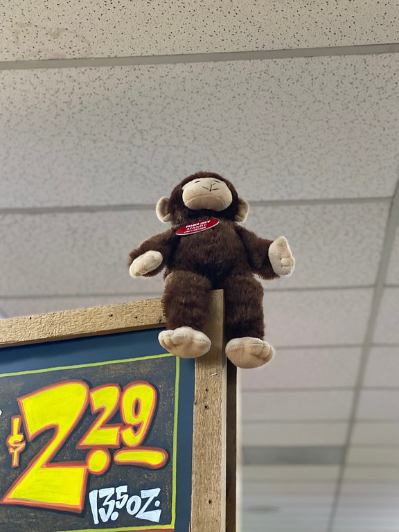 Mandy the Monkey at Trader Joe's Agoura Hills, CA