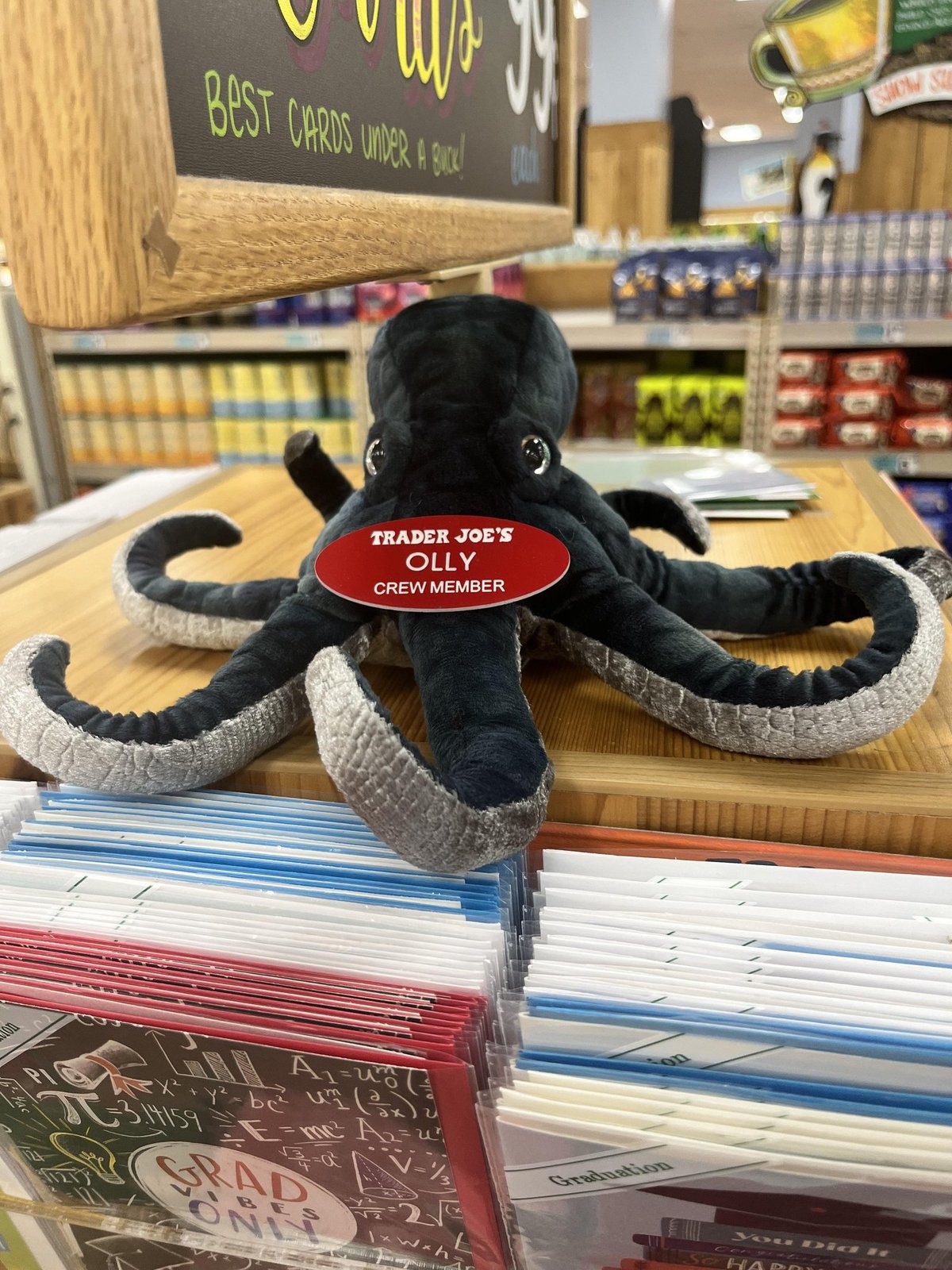 Olly the Octopus at Trader Joe's Newport News, VA