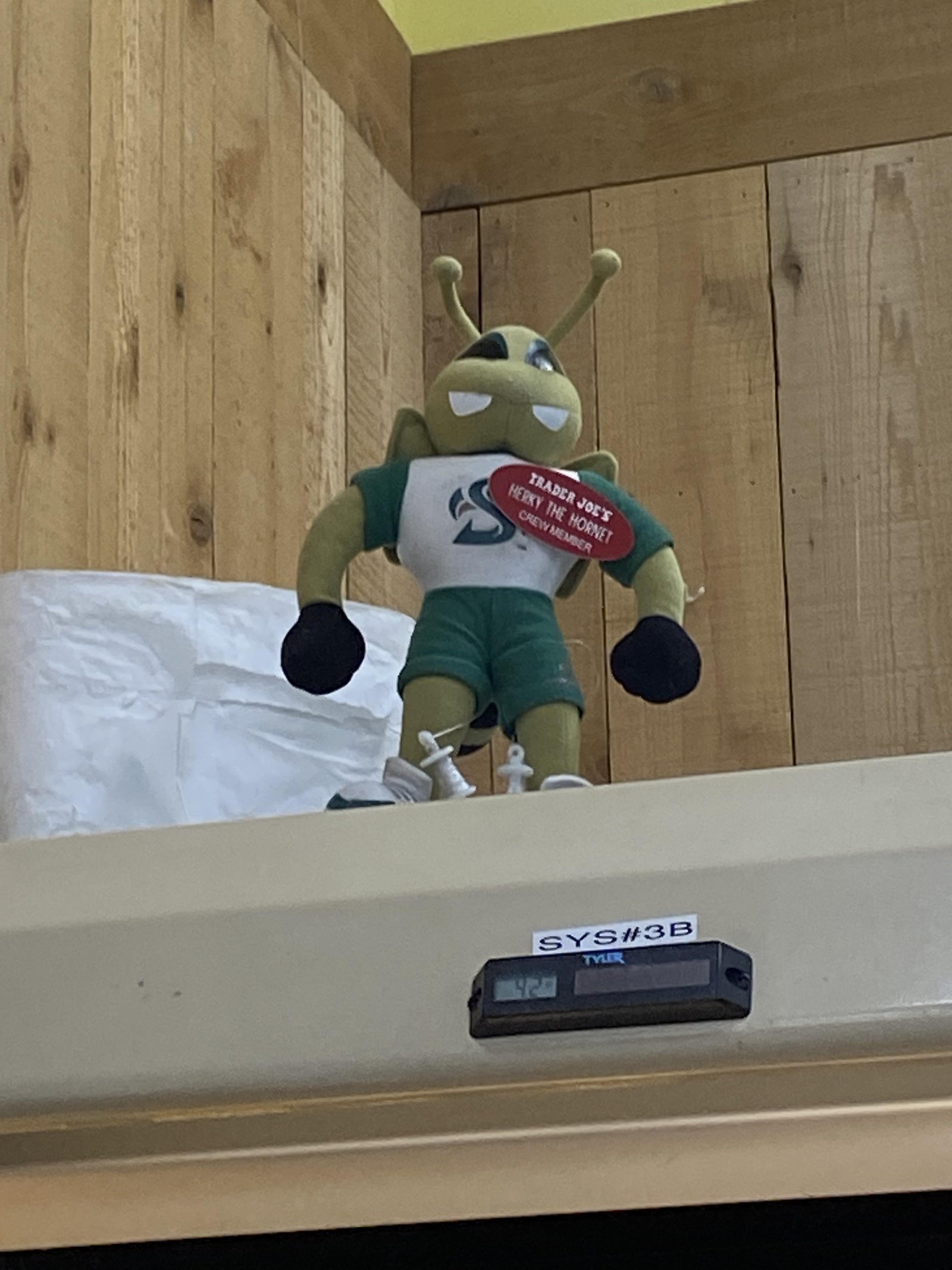 Herky the Hornet at Trader Joe's Sacramento — East Sacramento, CA