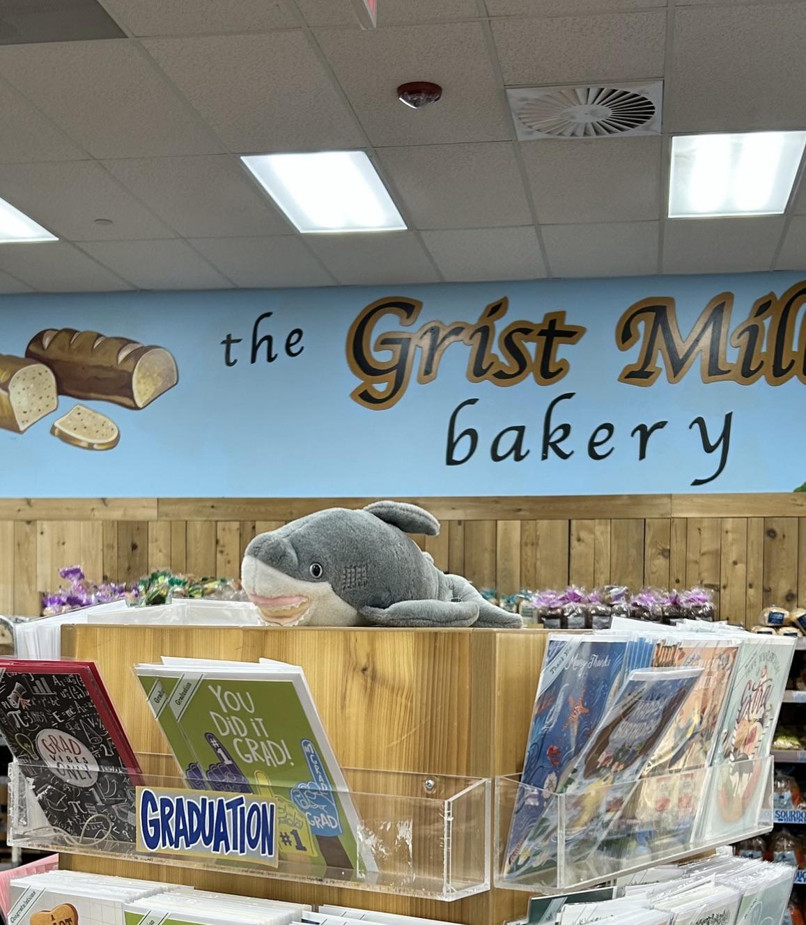 Schmooli the Shark at Trader Joe's Lake Grove, NY