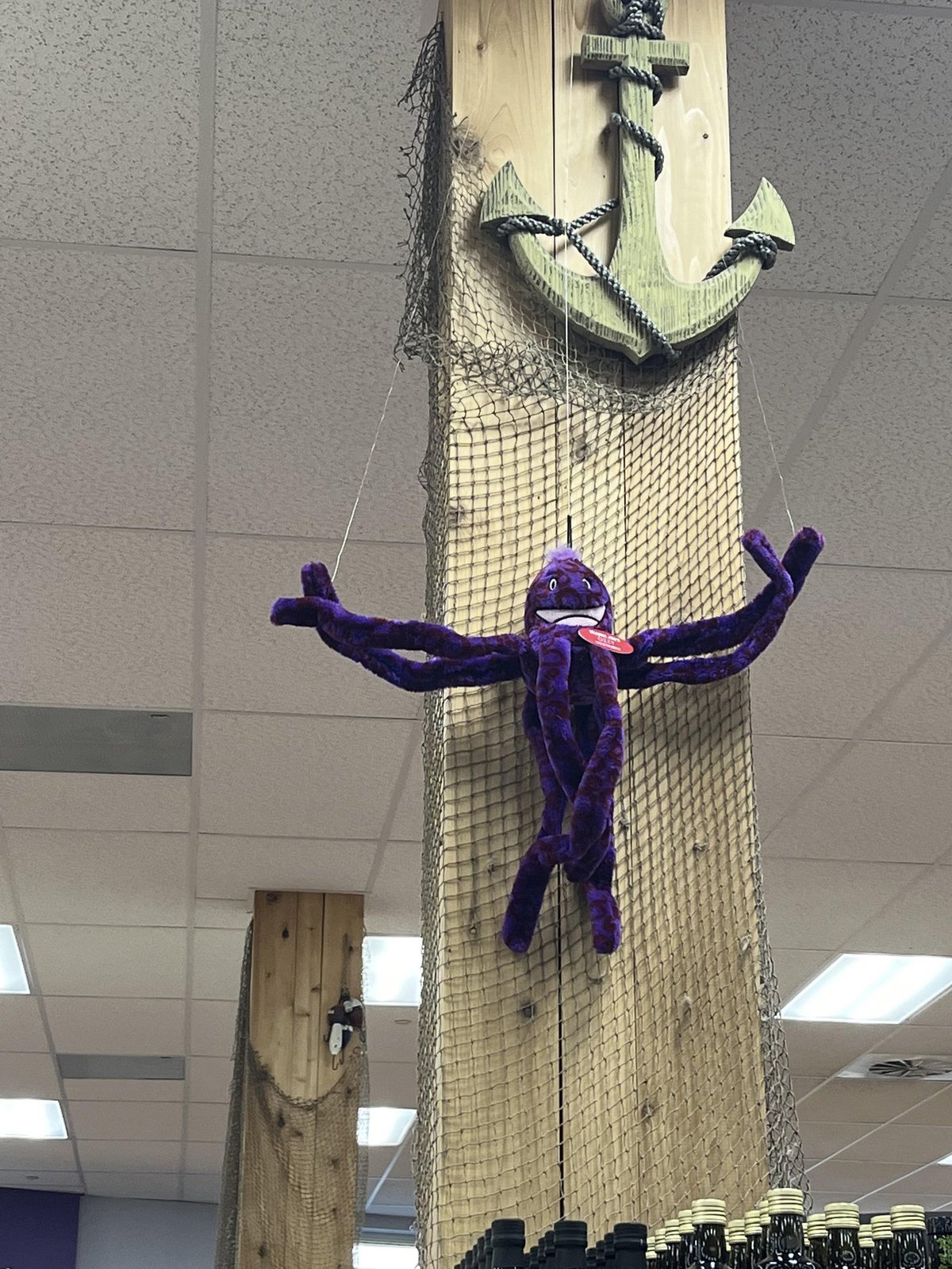 Ozzy the Octopus at Trader Joe's Evanston, IL