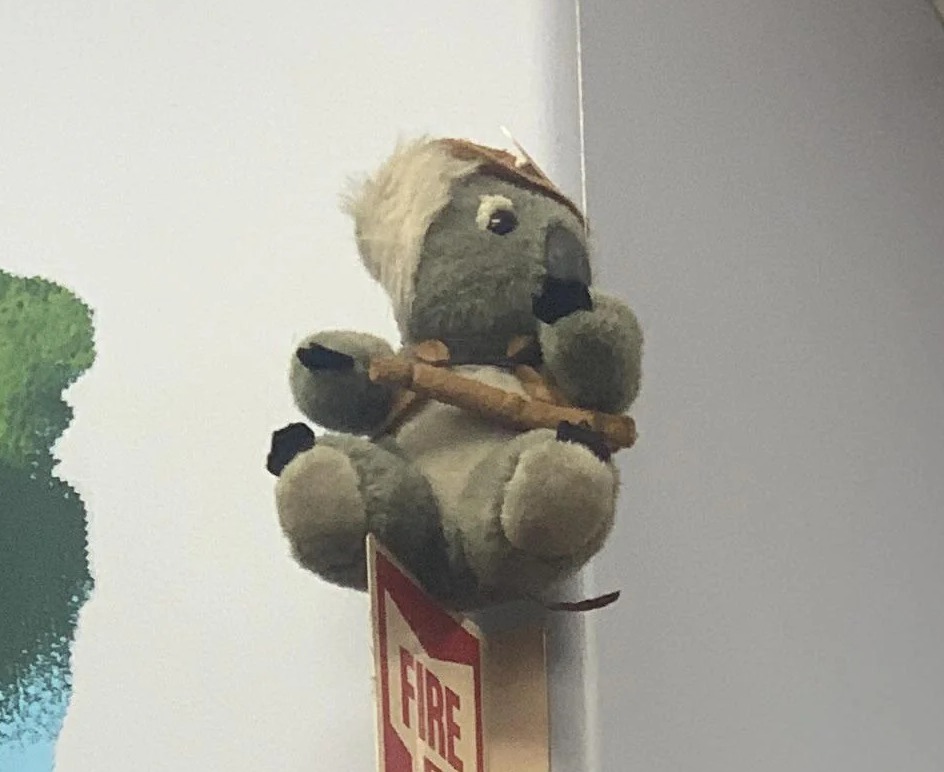 Kody the Koala at Trader Joe's San Jose — Almaden Valley, CA