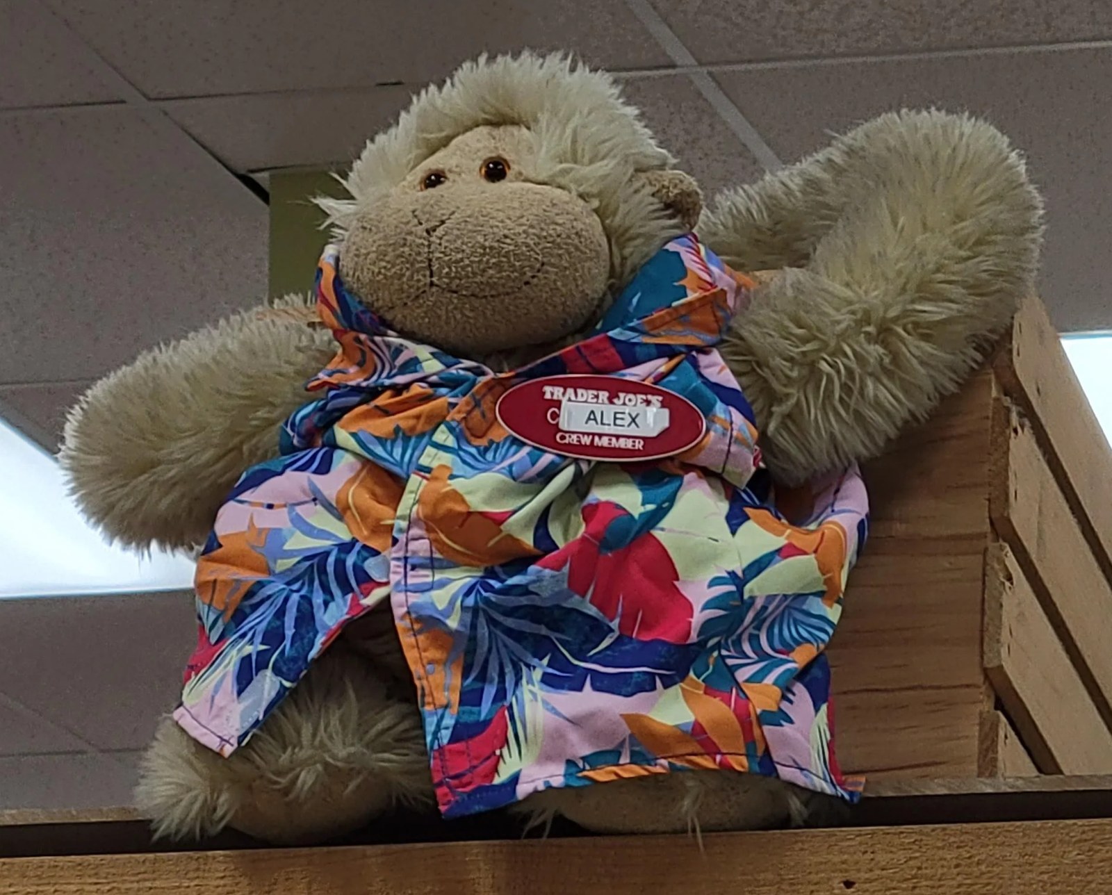 Alex the Monkey at Trader Joe's Norcross, GA