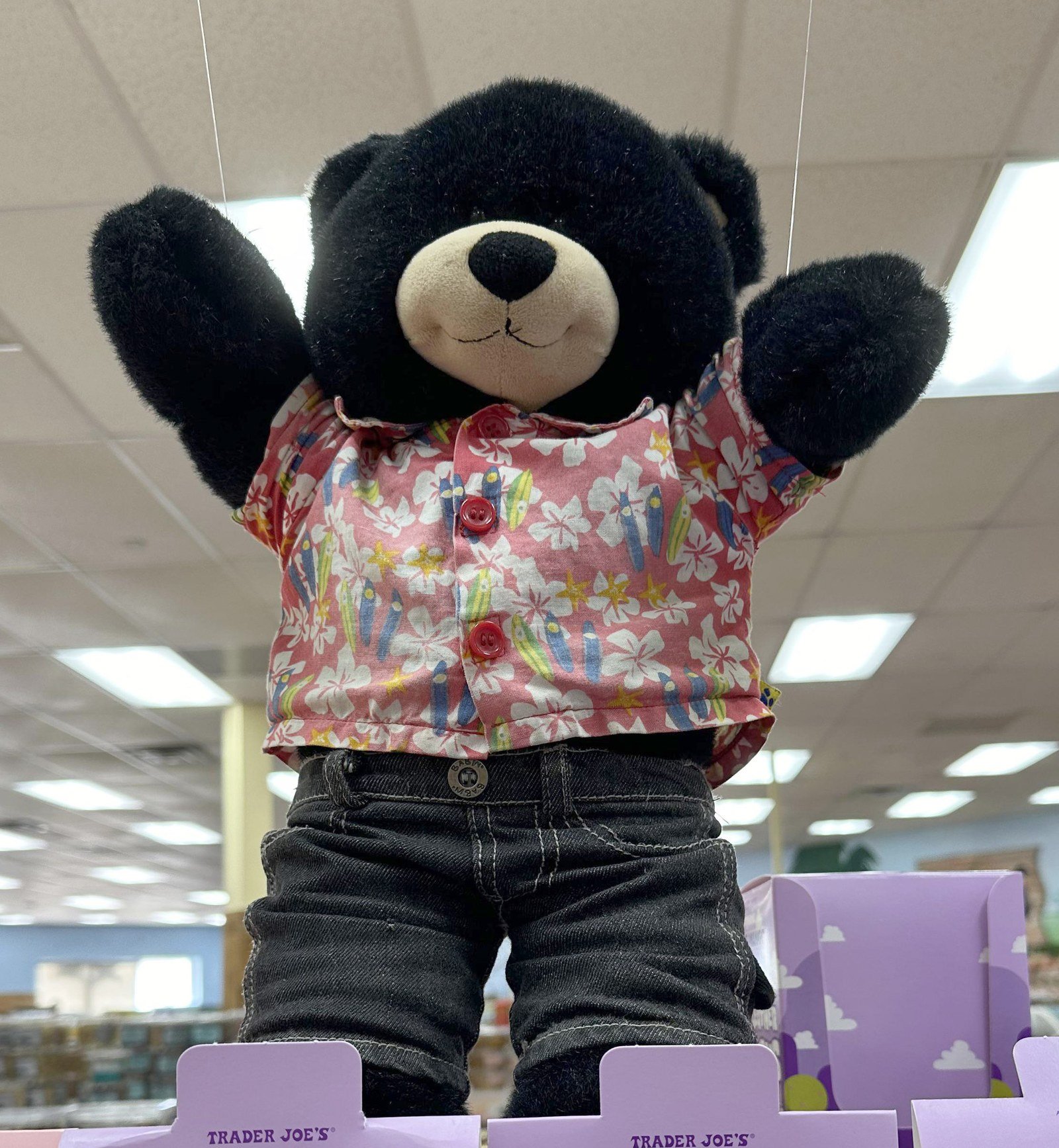 Teddy Joe the Black teddy bear at Trader Joe's Roswell, GA