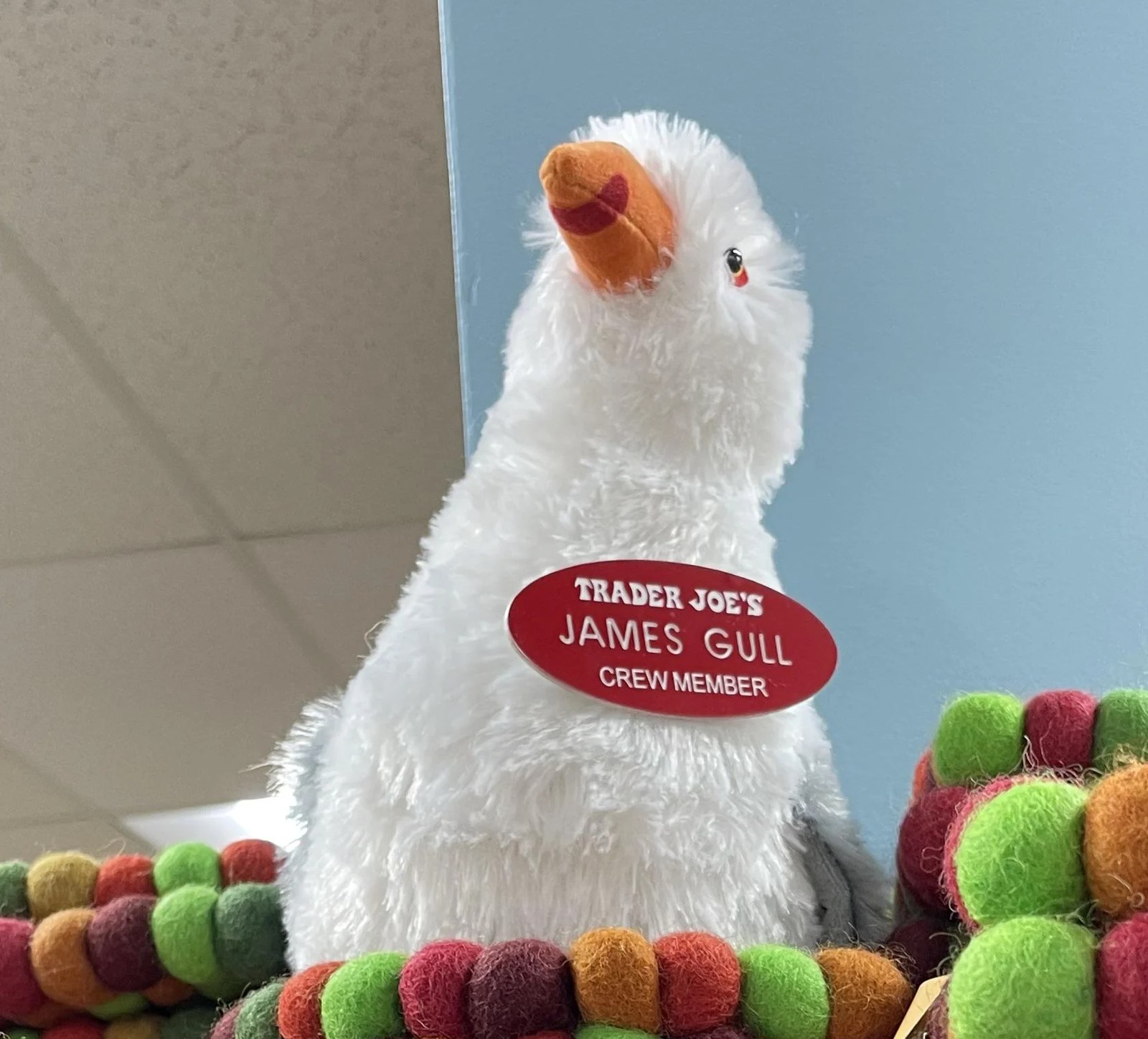James Gull the Seagull at Trader Joe's Pacific Grove, CA