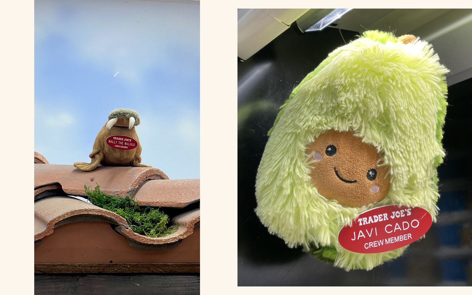 Wally and Javi Cado the Walrus & Avocado