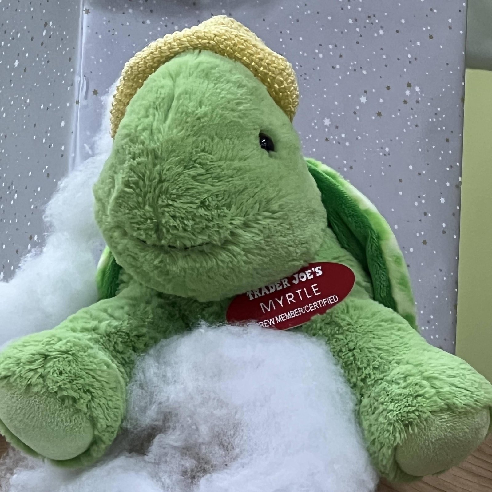 Myrtle the Turtle at Trader Joe's Nashville — West Nashville, TN