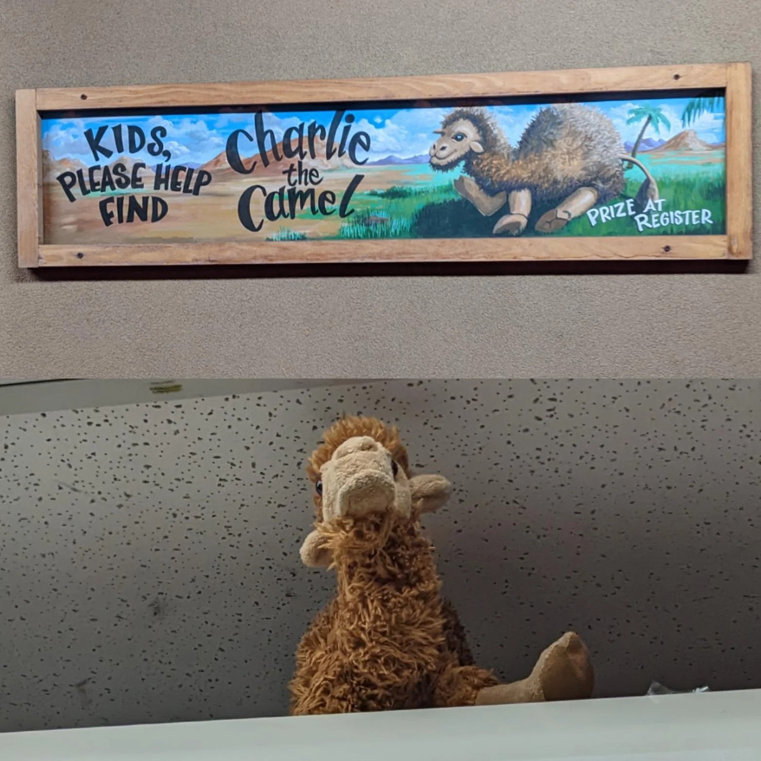 Charlie the Camel at Trader Joe's Phoenix — Biltmore, AZ