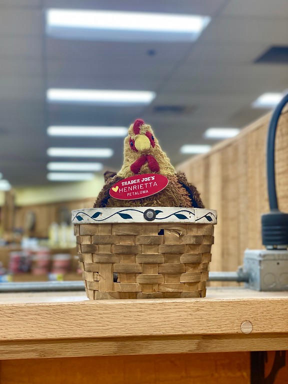 Henrietta the Chicken at Trader Joe's Petaluma, CA