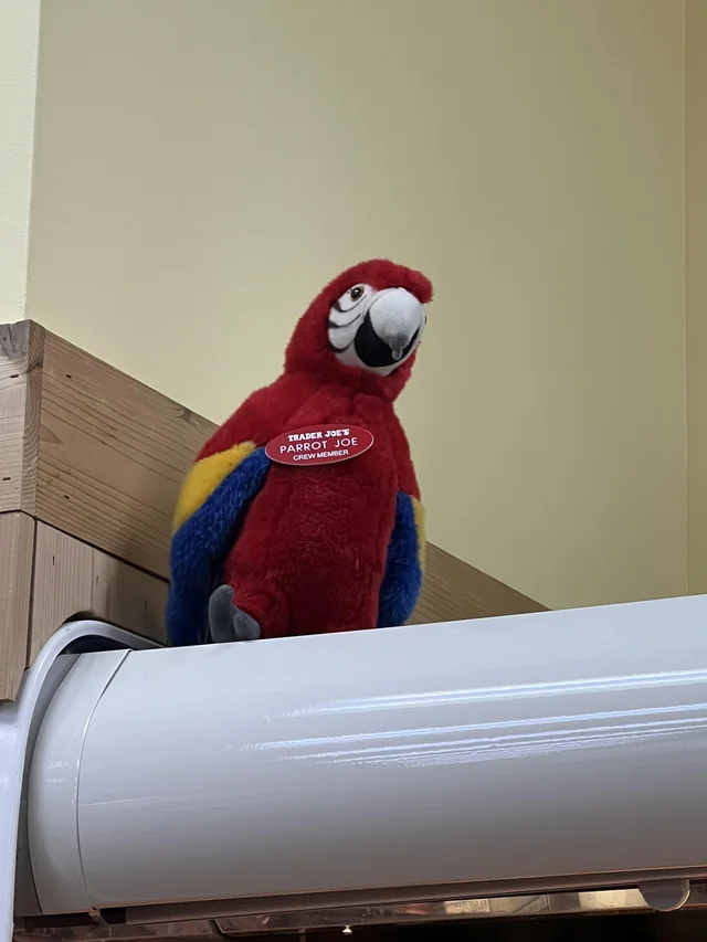 Parrot Joe the Parrot at Trader Joe's Bellevue — Downtown, WA